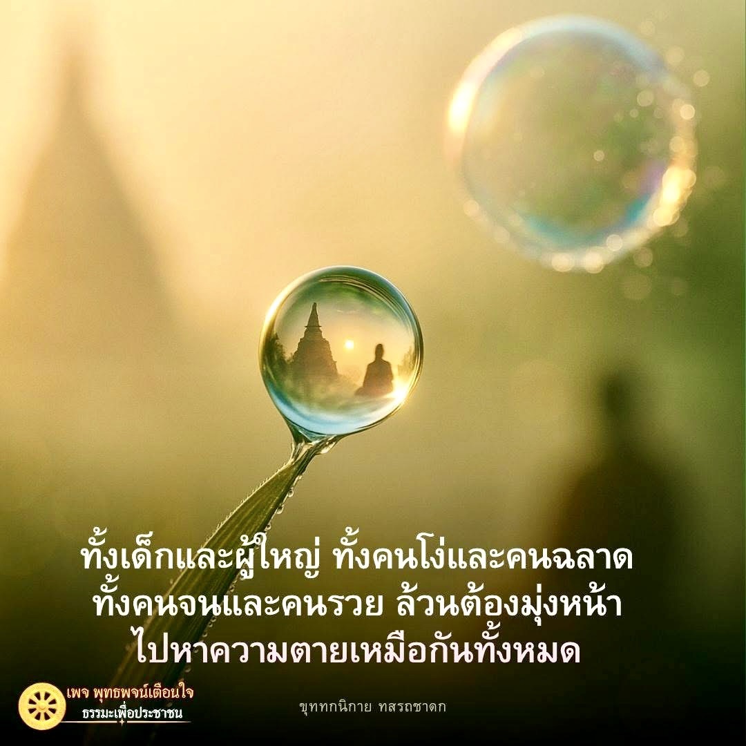 การ์ดคำสอนในพระพุทธศาสนา ทั่วไป