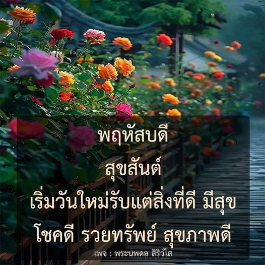 การ์ด No.9159:ภาพสวัสดียามเช้า