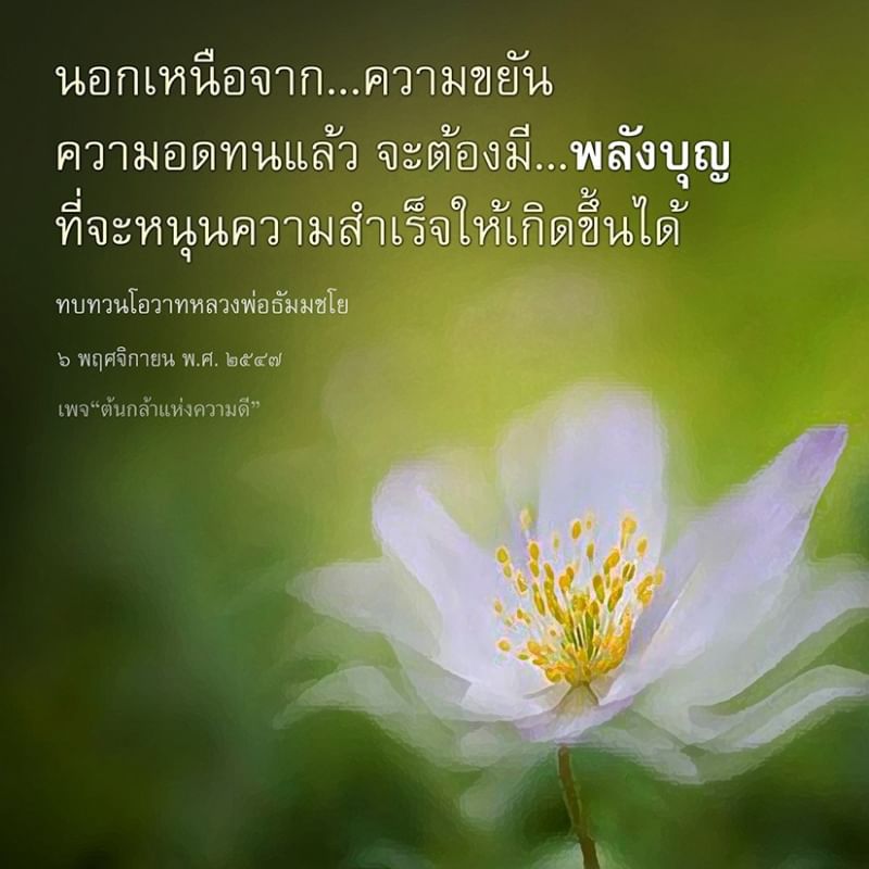 ความขยันและความอดทนเป็นสิ่งสำคัญที่จะต้องมีพลังบุญเพื่อสนับสนุนให้ความสำเร็จเกิดขึ้นได้ ทบทวนโอวาทหลวงพ่อธัมมชโยเมื่อวันที่ 6 พฤศจิกายน พ.ศ. 2547 ที่เพจ “ต้นกล้าแห่งความดี”