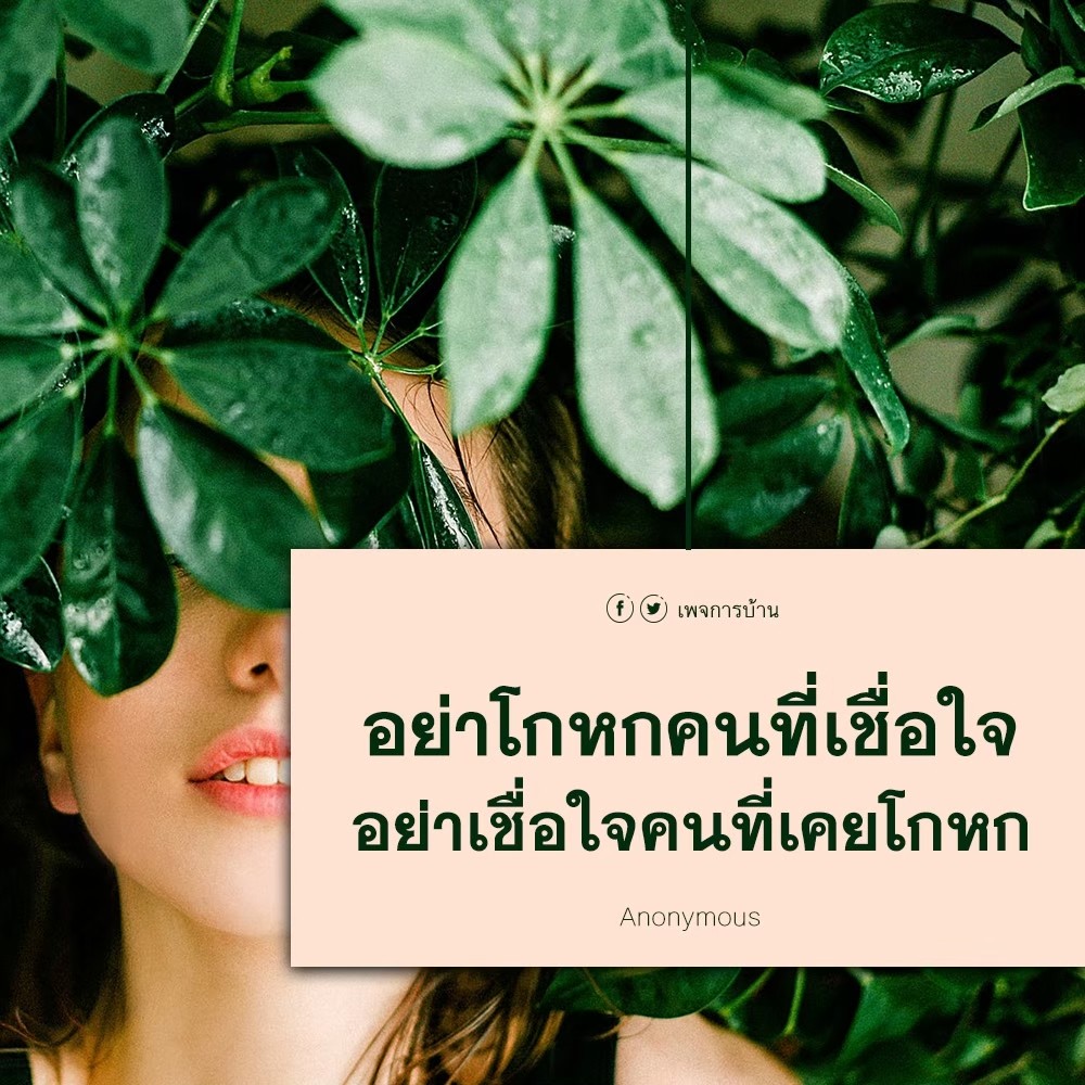 การ์ด No.8454:คติคำคม ข้อคิดสอนใจ