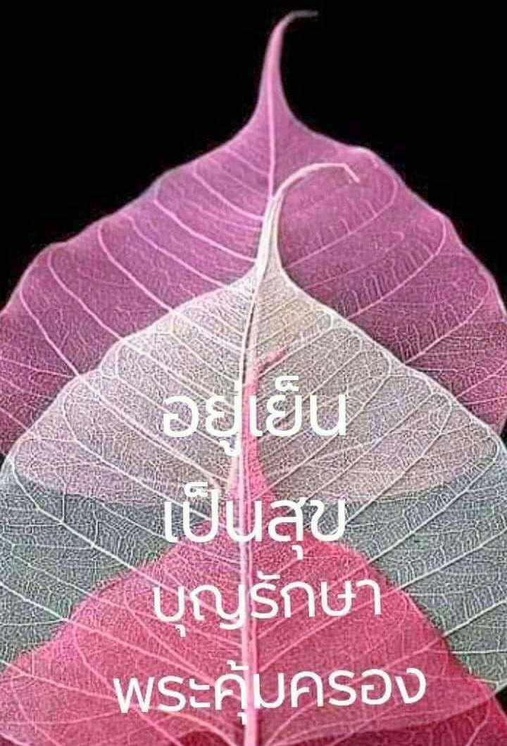 การ์ด No.12573:ทั่วไป