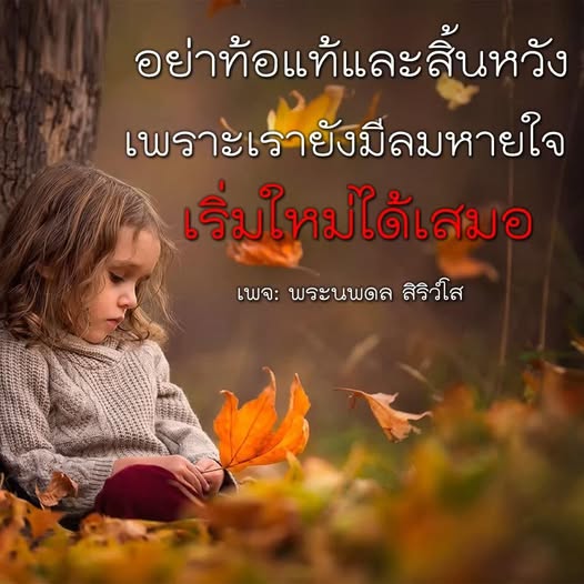 การ์ด No.12502:พระนพดล สิริวํโส