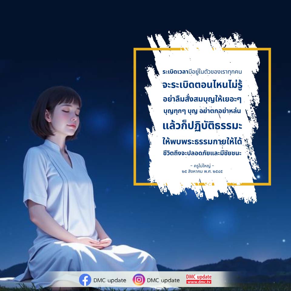 ภาพ No.16505:ทั่วไป