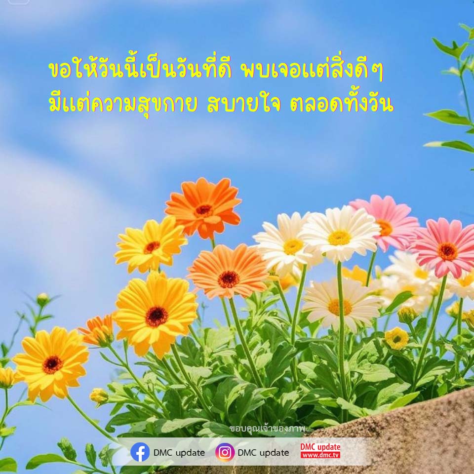 ภาพ No.16802:ทั่วไป