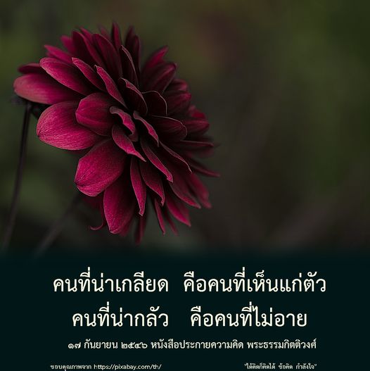 สำรวจข้อคิดและกำลังใจจากหนังสือประกายความคิดของพระธรรมกิตติวงศ์ เพื่อสร้างแรงบันดาลใจและความเข้าใจเกี่ยวกับคุณค่าของการไม่เห็นแก่ตัวและการมีความอาย