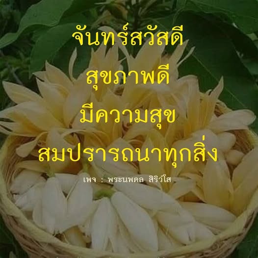 การ์ด No.13475:ภาพสวัสดียามเช้า
