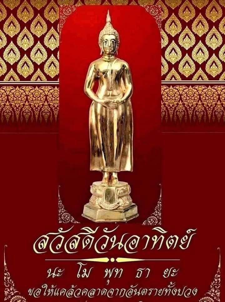 การ์ด No.13932:ภาพสวัสดียามเช้า