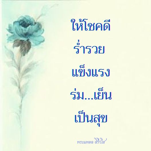 การ์ด No.9183:พระนพดล สิริวํโส