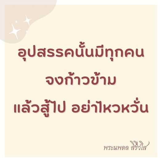 การ์ด No.8795:พระนพดล สิริวํโส