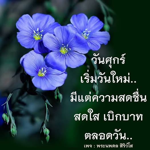 การ์ด No.13150:ภาพสวัสดียามเช้า