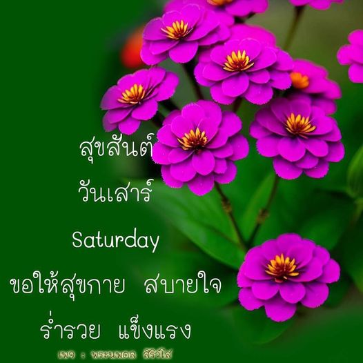 การ์ด No.10817:ภาพสวัสดียามเช้า