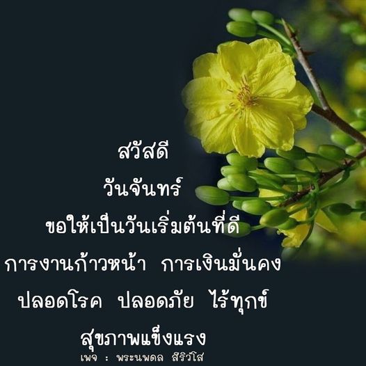 ขอให้วันจันทร์นี้เป็นวันเริ่มต้นที่ดีสำหรับทุกคน การงานก้าวหน้า การเงินมั่นคง ปลอดโรค ปลอดภัย ไร้ทุกข์ และสุขภาพแข็งแรง ติดตามพระนพดล สิริวํโส เพื่อแรงบันดาลใจในชีวิต