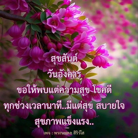 สุขสันต์วันอังคาร ขอให้ทุกคนพบแต่ความสุขและโชคดีในทุกช่วงเวลานาที พร้อมกับสุขภาพแข็งแรงและความสบายใจจากพระนพดล สิริวํโส