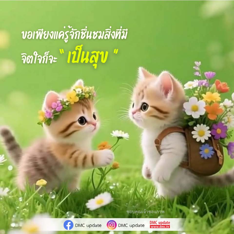 ชื่นชมสิ่งที่มี: เส้นทางสู่ความสุข