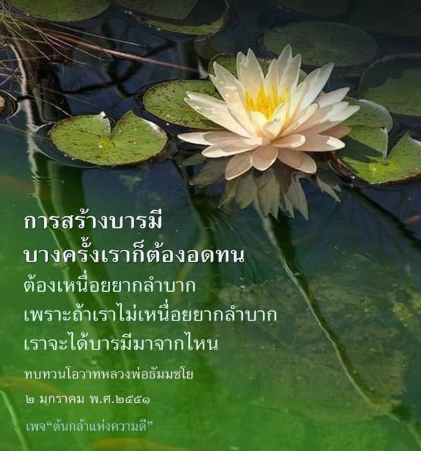 ค้นพบแนวทางการสร้างบารมีผ่านการอดทนและการทำความดีตามโอวาทของหลวงพ่อธัมมชโย เพื่อเสริมสร้างชีวิตที่มีคุณค่าและความสุขในทุกๆ วัน