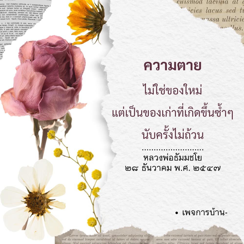 ภาพ No.16568:ทั่วไป
