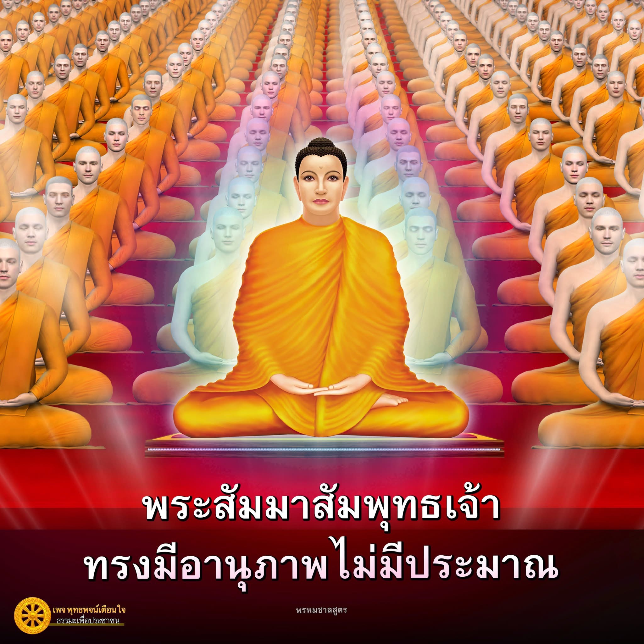 ภาพ No.16891:ทั่วไป