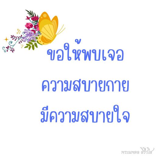 การ์ด No.10230:พระนพดล สิริวํโส
