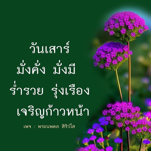 การ์ด No.9676:ภาพสวัสดียามเช้า