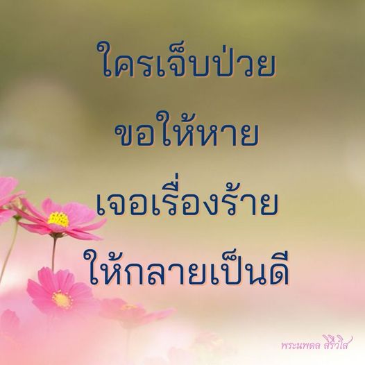 การ์ด No.8761:พระนพดล สิริวํโส