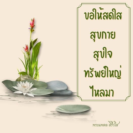 การ์ด No.12486:พระนพดล สิริวํโส