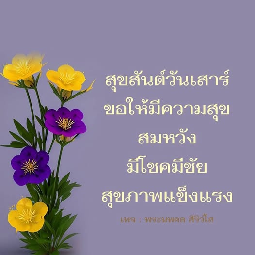 การ์ด No.12413:ภาพสวัสดียามเช้า