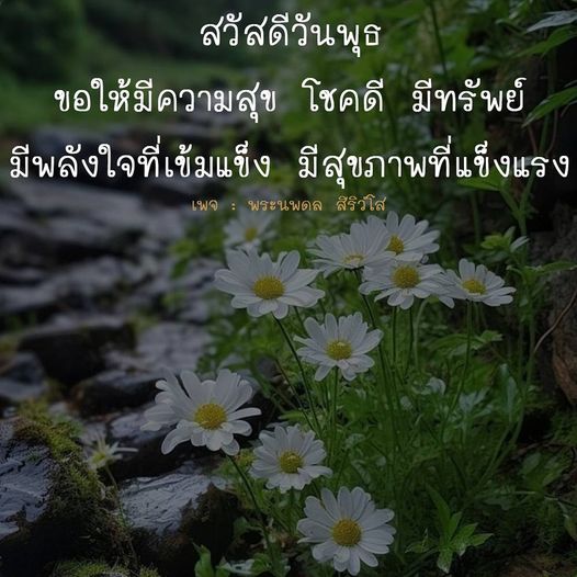 ร่วมเฉลิมฉลองวันพุธด้วยคำอวยพรที่เต็มไปด้วยความสุขและโชคดี จากเพจพระนพดล สิริวโส เพื่อเสริมสร้างพลังใจและสุขภาพที่แข็งแรงในทุกวัน