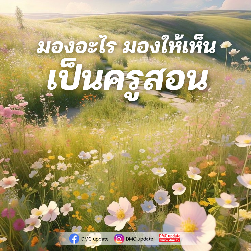 ภาพ No.17927:ทั่วไป