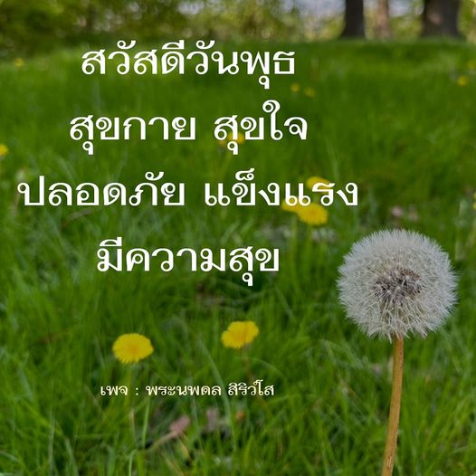 การ์ด No.8428:ภาพสวัสดียามเช้า