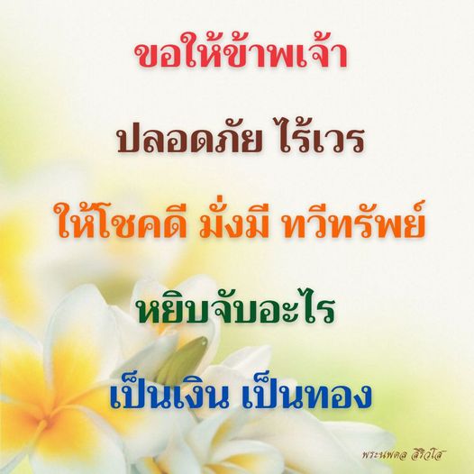 การ์ด No.11255:พระนพดล สิริวํโส