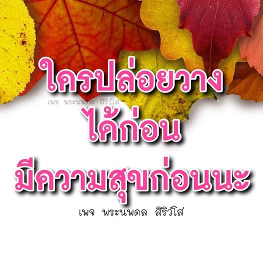 การ์ด No.13173:พระนพดล สิริวํโส
