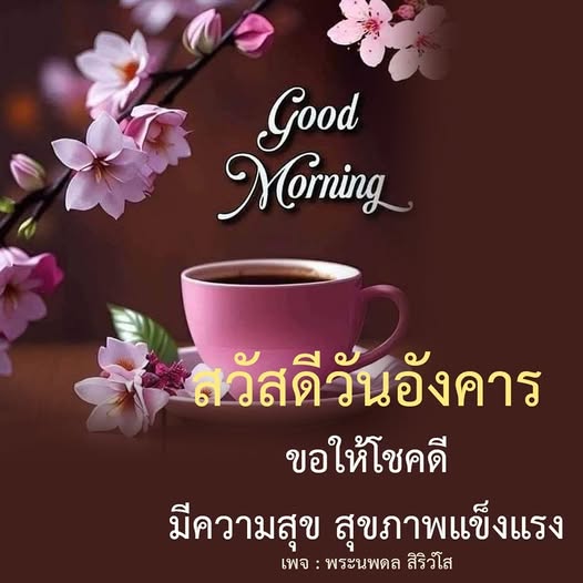 การ์ด No.13969:ภาพสวัสดียามเช้า