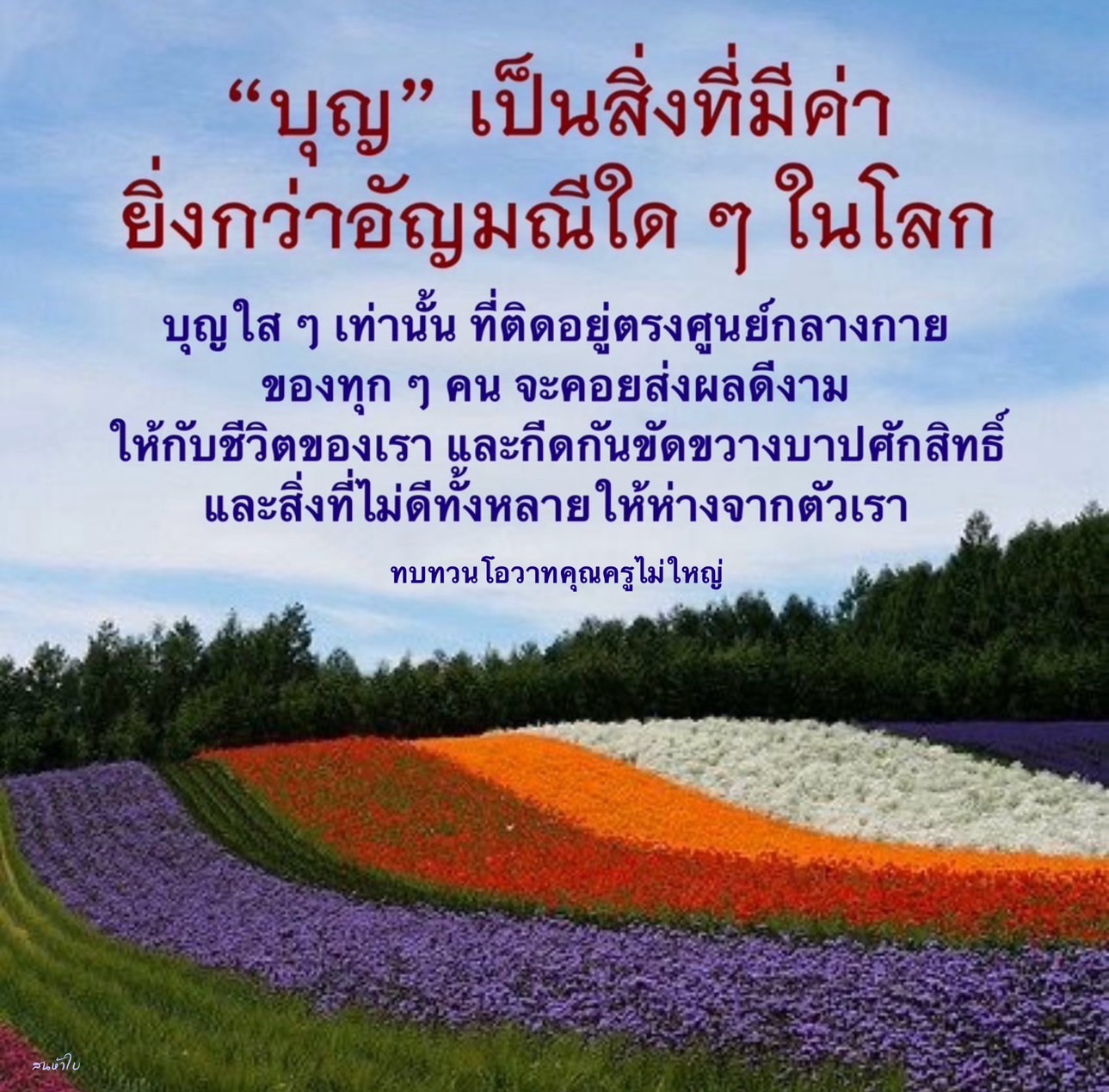 ค้นพบความหมายของ 'บุญ' ที่มีค่ากว่าอัญมณีในโลก และเรียนรู้ว่าบุญใส ๆ จะส่งผลดีต่อชีวิตของเราอย่างไร พร้อมทบทวนโอวาทจากคุณครูไม่ใหญ่เพื่อเสริมสร้างชีวิตที่ดีและห่างไกลจากสิ่งไม่ดี