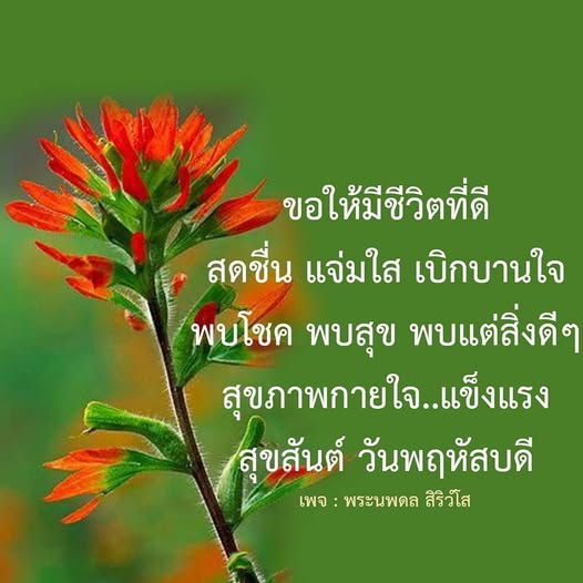 ค้นพบเคล็ดลับการมีชีวิตที่ดี สดชื่น แจ่มใส และเบิกบานใจ พร้อมสุขภาพกายใจที่แข็งแรงในทุกวัน. พบโชคและสิ่งดีๆ ที่จะทำให้คุณมีความสุขในชีวิตประจำวัน.