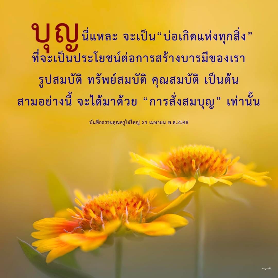 เรียนรู้เกี่ยวกับบุญที่เป็นบ่อเกิดแห่งทุกสิ่งที่นำไปสู่การสร้างบารมี ทั้งรูปสมบัติ ทรัพย์สมบัติ และคุณสมบัติ ผ่านการสั่งสมบุญในชีวิตประจำวัน