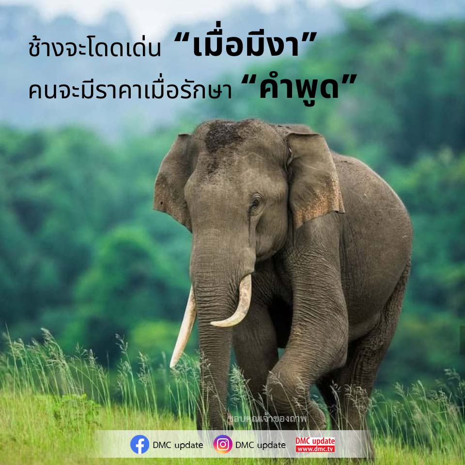 ภาพ No.16871:คติคำคม ข้อคิดสอนใจ