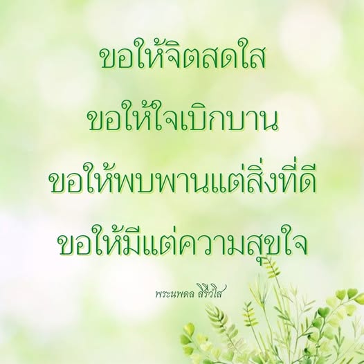 ภาพ No.11972:วันพระ