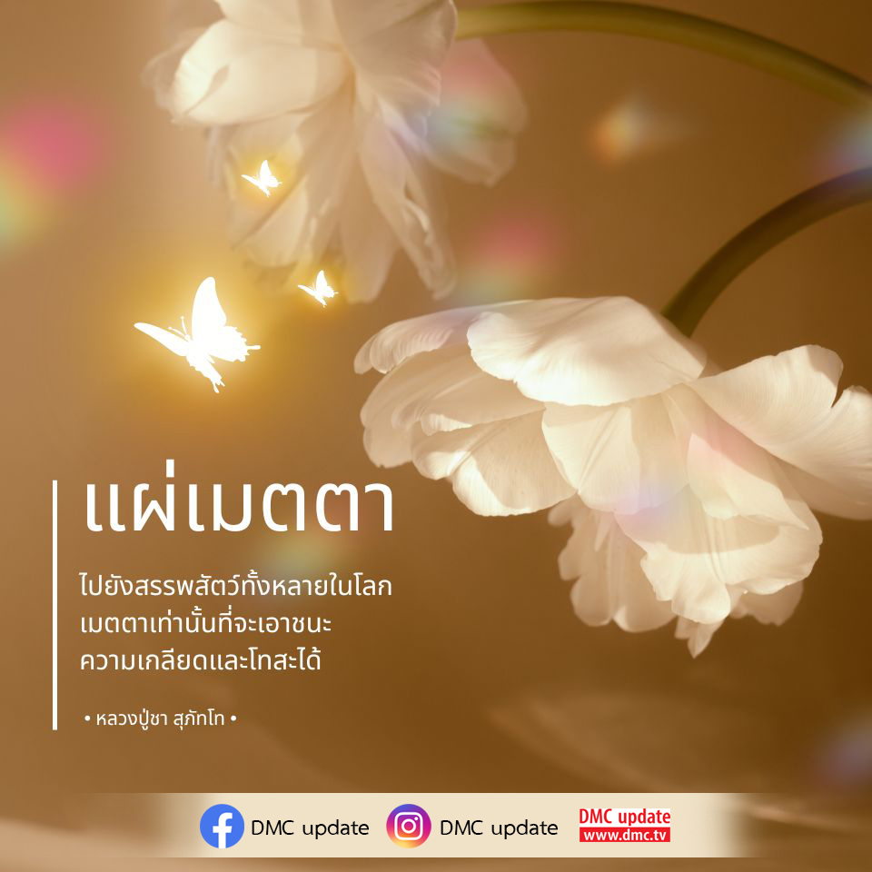 เรียนรู้เกี่ยวกับการแผ่เมตตาไปยังสรรพสัตว์ทั้งหลายในโลก พร้อมคำสอนจากหลวงปู่ชา สุภัทโท ที่จะช่วยให้คุณเอาชนะความเกลียดและโทสะได้ ผ่านการปฏิบัติและการเข้าใจในหลักธรรม.