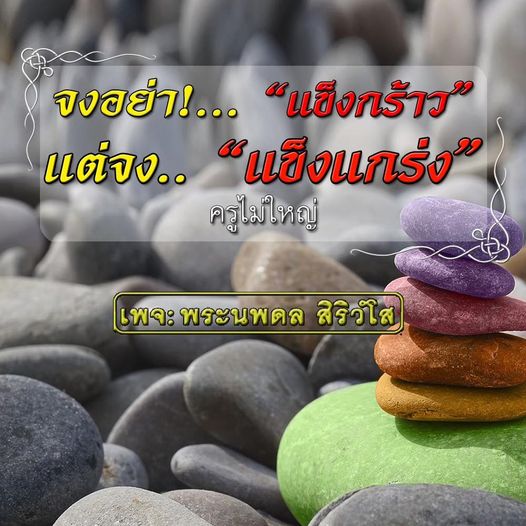 การ์ด No.11745:พระนพดล สิริวํโส