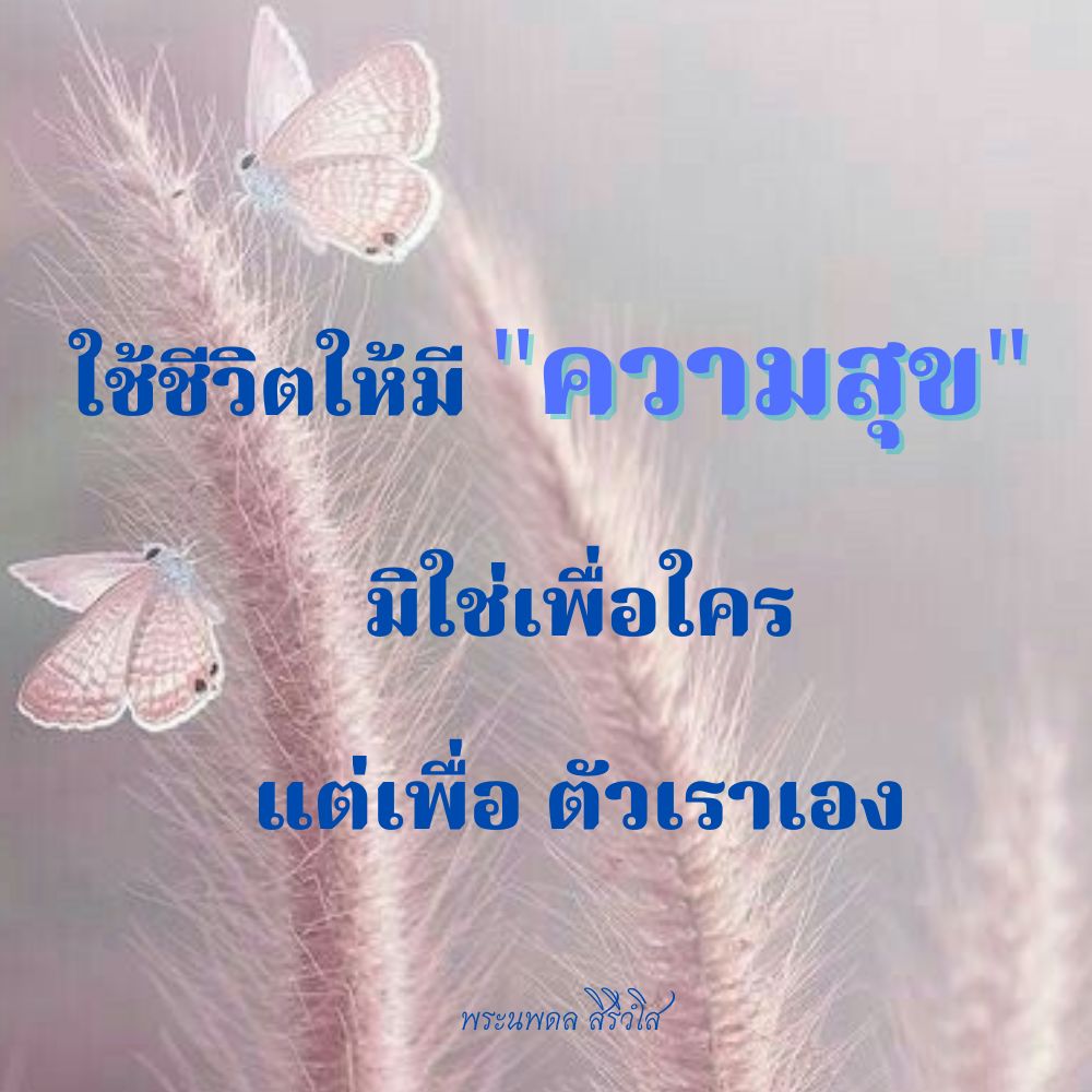 การ์ด No.6908:พระนพดล สิริวํโส