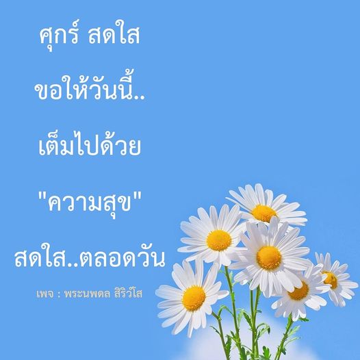 การ์ด No.8486:ภาพสวัสดียามเช้า