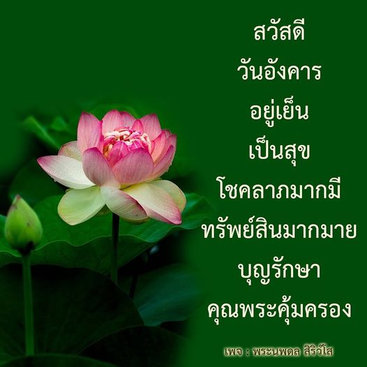 เข้าร่วมกับเพจพระนพดล สิริวโส เพื่อค้นพบเคล็ดลับในการเสริมโชคลาภและความสุขในชีวิต พร้อมทั้งเรียนรู้วิธีการดึงดูดทรัพย์สินและการได้รับการคุ้มครองจากคุณพระ
