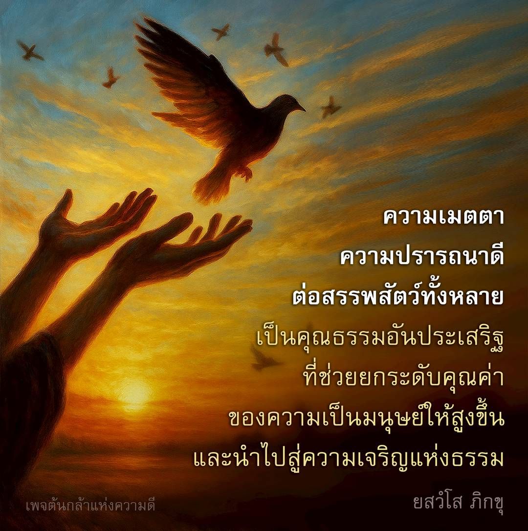 ต้นกล้าแห่งความดี: ความเมตตาและความปรารถนาดีต่อสรรพสัตว์