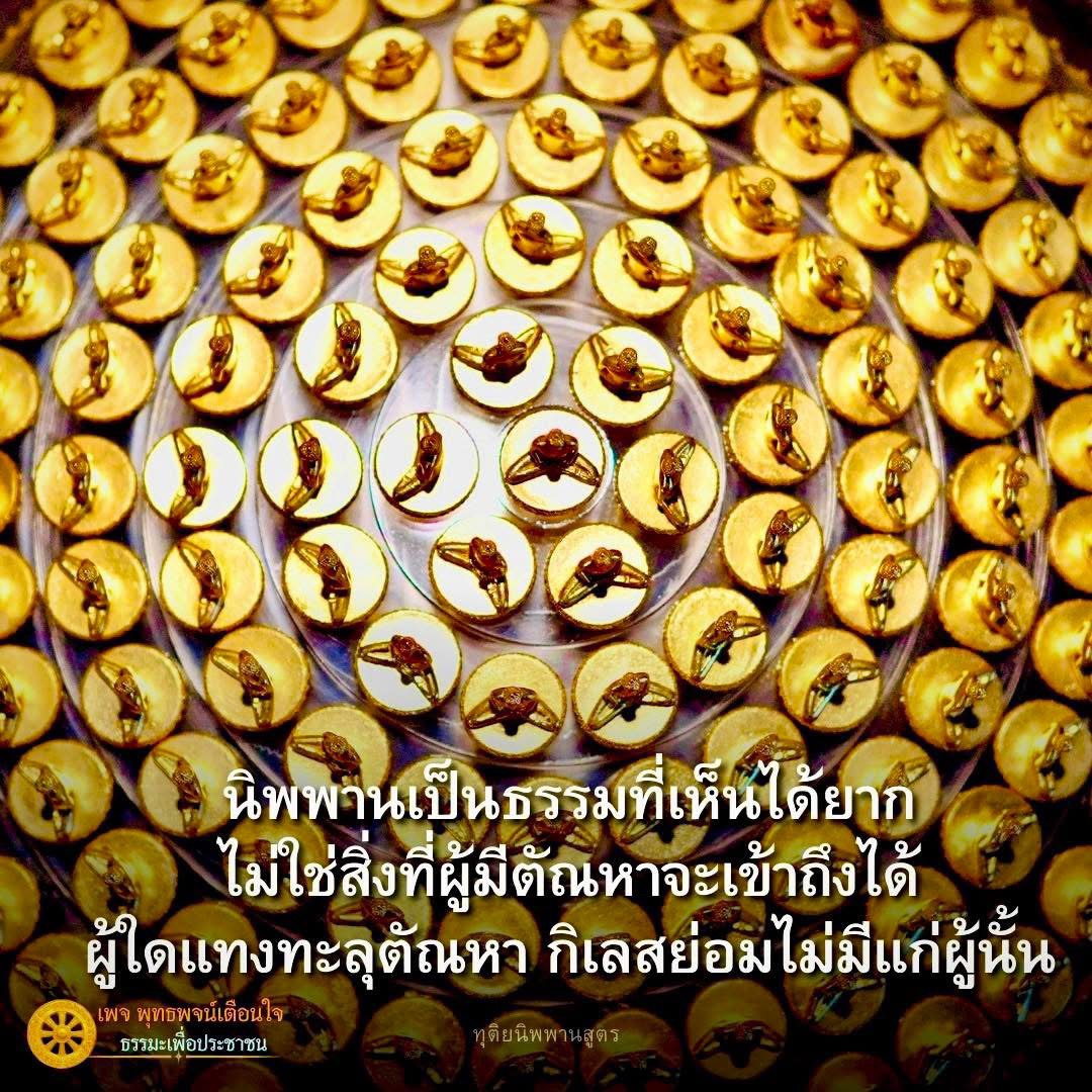 ภาพ No.16798:ทั่วไป