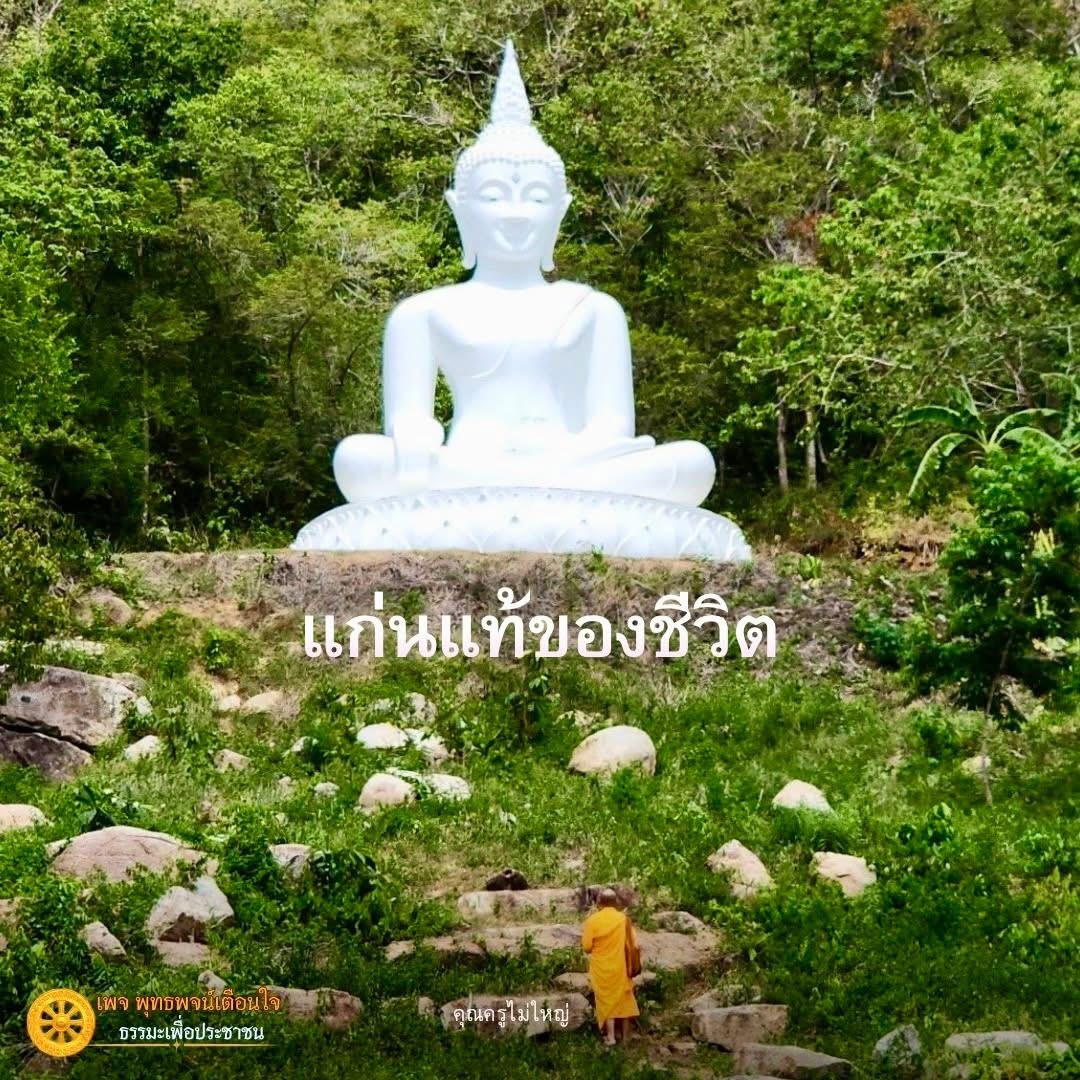 ภาพ No.16518:ทั่วไป