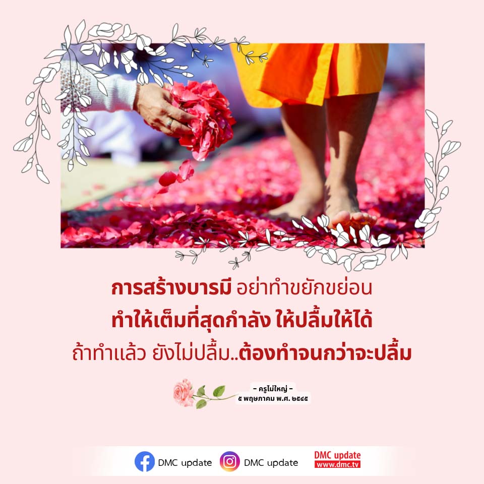 ภาพ No.16946:ทั่วไป