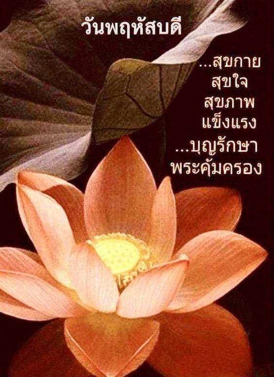 การ์ด No.15402:ทั่วไป