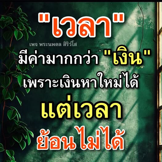 การ์ด No.14576:ทั่วไป