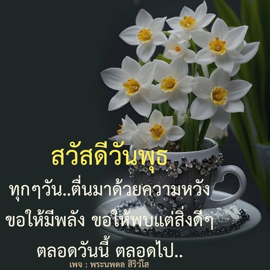 ตื่นมาด้วยความหวังในวันพุธ ขอให้มีพลังและพบแต่สิ่งดีๆ ตลอดวันนี้และตลอดไป กับเพจพระนพดล สิริวโส