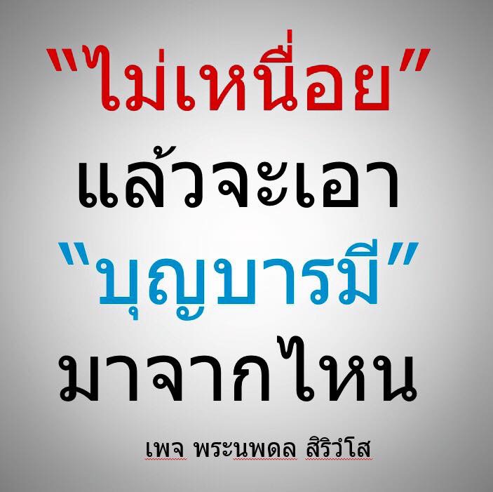 การ์ด No.8281:พระนพดล สิริวํโส